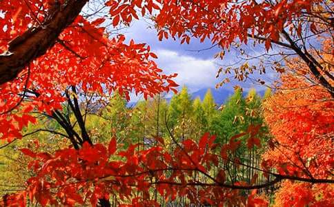 �μt�~������700��