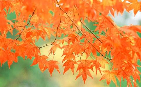 ��(j��)�ϼt�~�ȵļt�~����