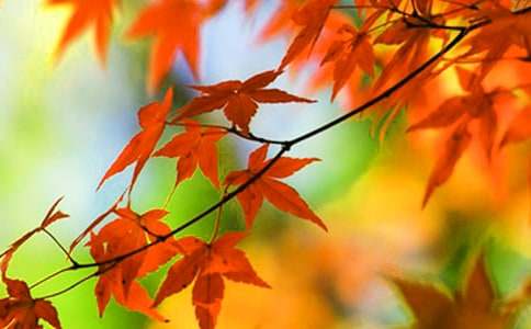 ���ϼt�~����ӛ����