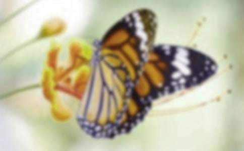 ץ��������(ͨ��15ƪ)