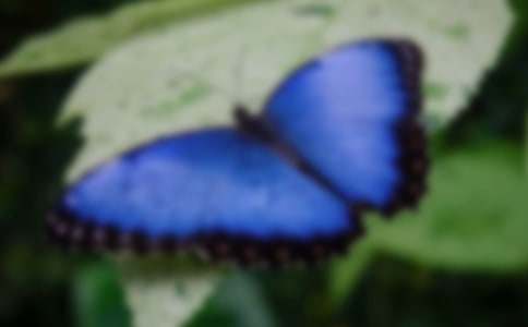 �����A���^���������8ƪ