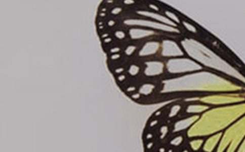 ����׃�ɺ������ķ��ģ�ͨ��20ƪ��