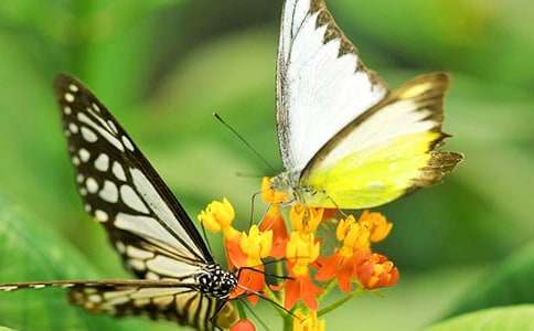 �^�����������