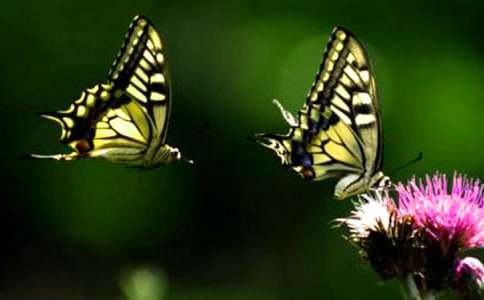 ��(xi��)�����ă�(y��u)������