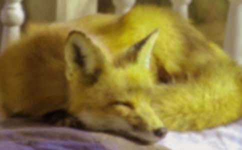 ���؂ƽ������