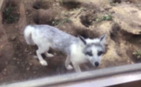 �����]����؂��������