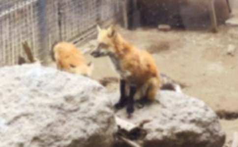 ��؂��������