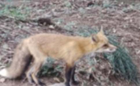 �m(x��)�����f�ͺ�؂С�W(xu��)��(y��u)������