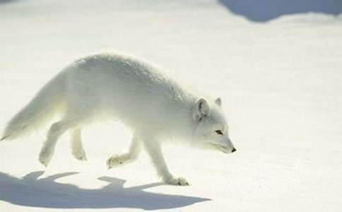 С���f��С��؂����4ƪ