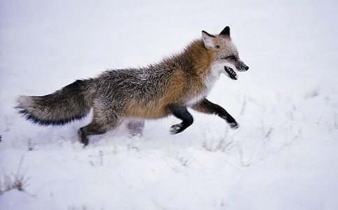 �˲���ĺ�؂�ְ�700���m(x��)��(xi��)����