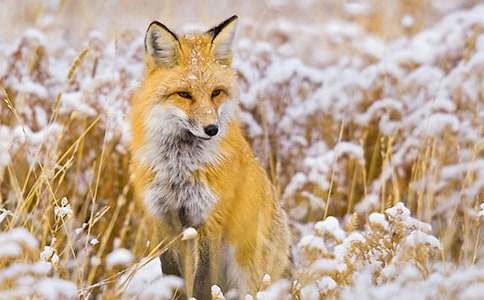 ��؂��С�����ģ����x21ƪ��