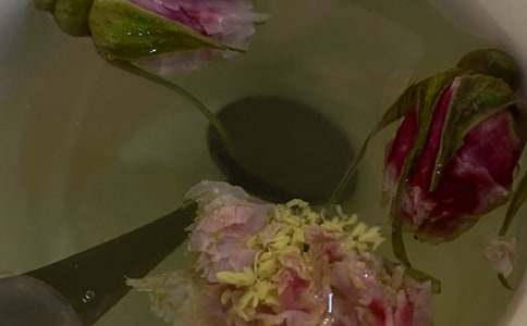 �������ġ��ջ��衱����