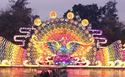 觀(guān)花燈敘事作文(精選30篇)