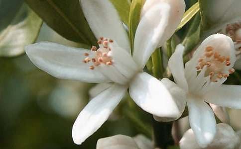 ΢Ц�������о`�ŵĻ�������