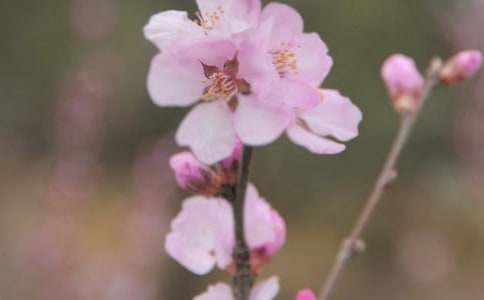 ����Ļ�������400�֣����x17ƪ��