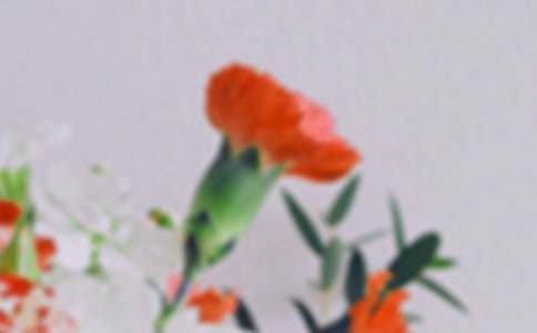 �茑����ı�����ժ��120��