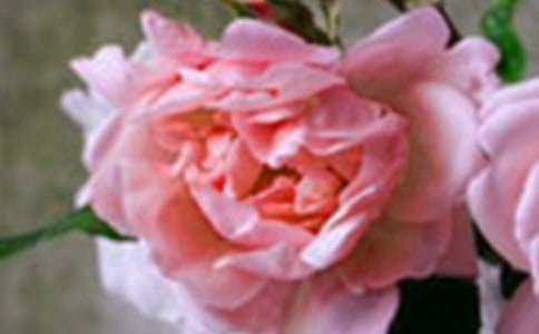 �_��ӛ����̎�Ļ���800�ָ��и�һ��(y��u)������