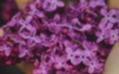 �����о`�ŵĻ��������