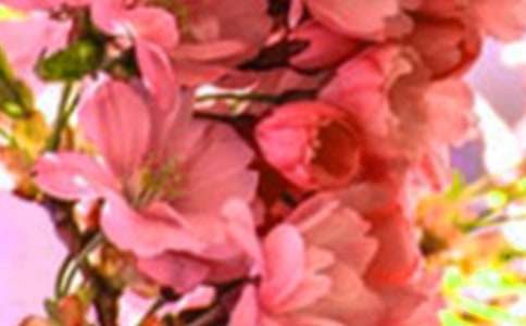 ��Ը��������Ļ�������600�����ҳ��������x18ƪ��