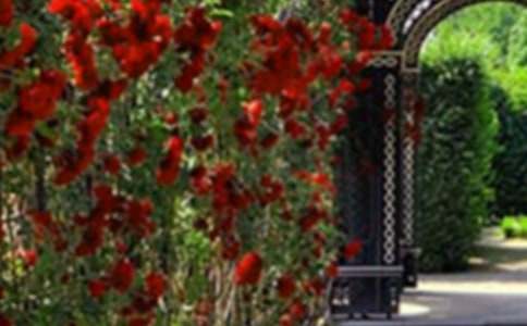 �����Ļ��@������