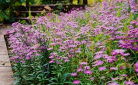 �����Ļ��@600������