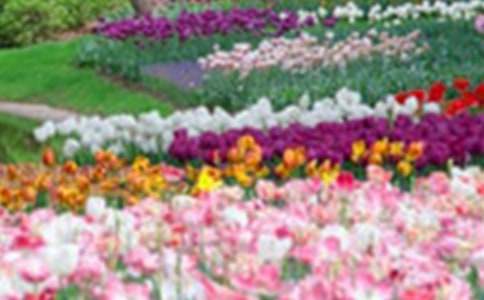 難忘的花園村旅游記-記一次游玩作文800字