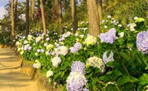 �|ꖻ��@��һ����_700��