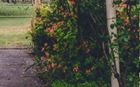 ���@���ļ�����(�ϼ�15ƪ)