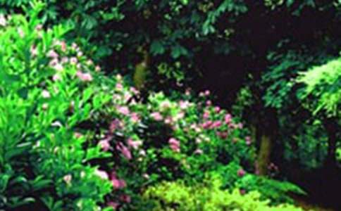 С���@���ļ�����7ƪ