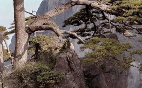 黃山旅游作文(通用32篇)