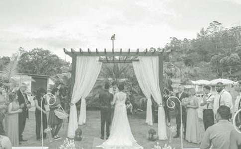 舅舅婚禮的作文4篇(經(jīng)典)