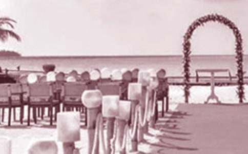 舅舅婚禮的作文10篇