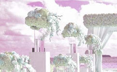 �˾˻�Y��������ƪ