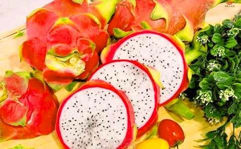 我最喜歡的水果——火龍果