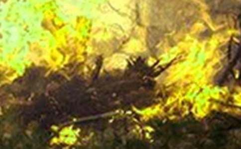 �������(��i)�����h(yu��n)�x���(z��i)����