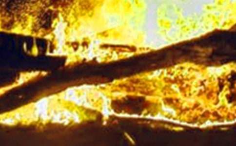 �P���h�x�������������ĺϼ���ƪ