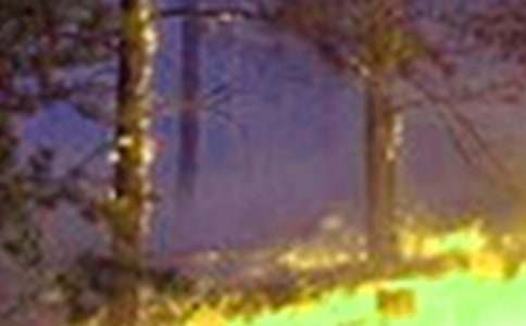 �����T���h�x���(z��i)�������������ƪ