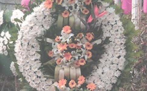 �������������