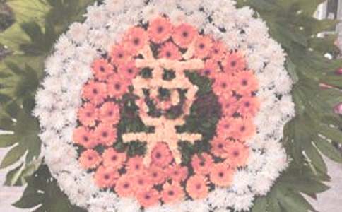 �ഺ��ļ���ĸ�������