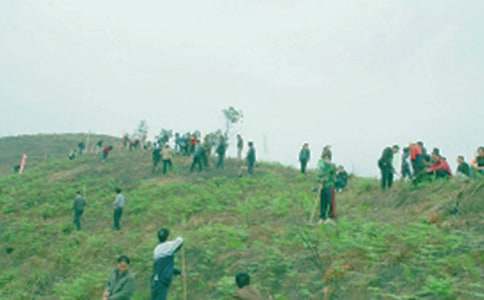 ��������600�֣����x46ƪ��