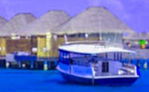 假期旅游見聞作文