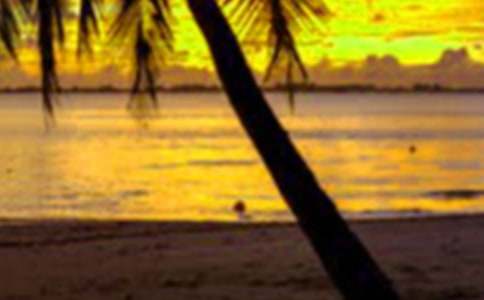 �ҵļ�������������ģ�ͨ��50ƪ��