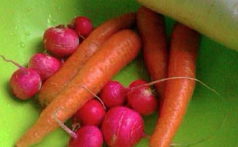 �茑��������������