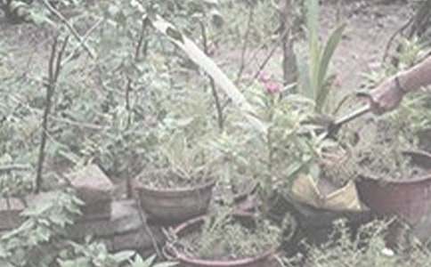 ��������200��