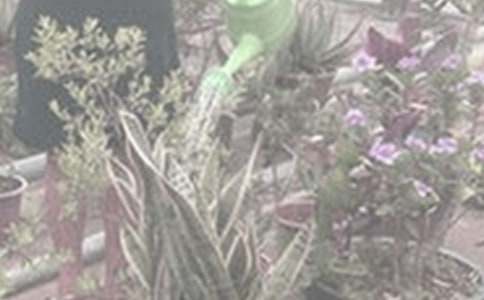 �����A����������300��4ƪ