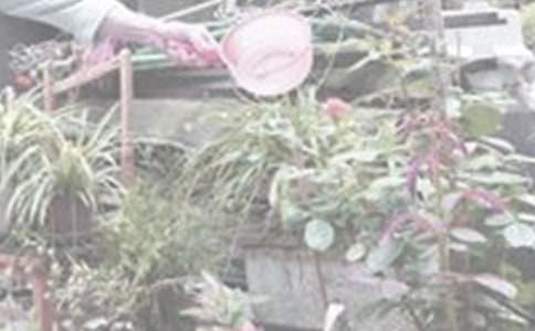 ��������300��