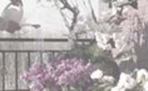 �������ĵ������ġ����T(m��n)��