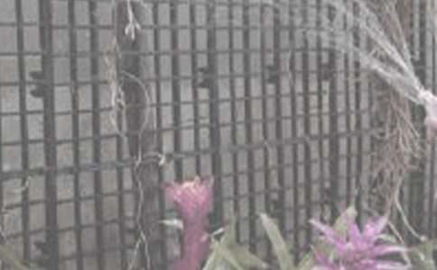 ��������400��10ƪ