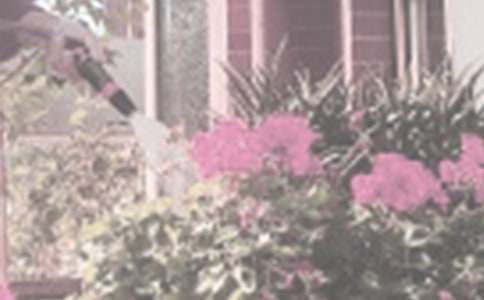 我明白了熱天中午不宜澆花優(yōu)秀作文