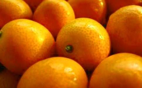 金桔樹的優(yōu)秀作文